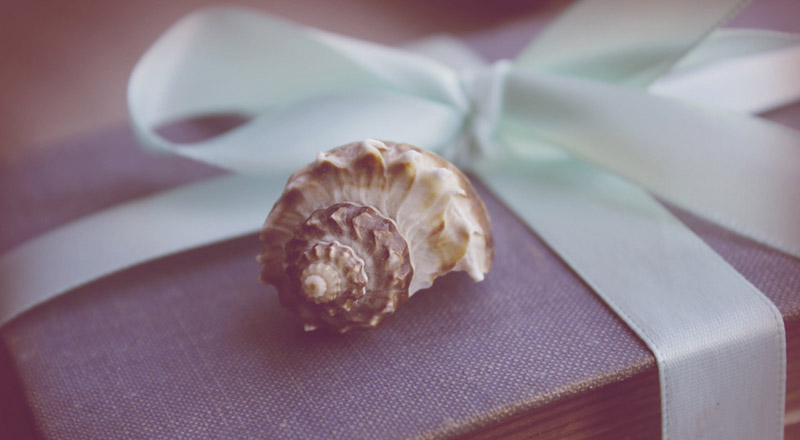 THIS IS A GALLERY POST